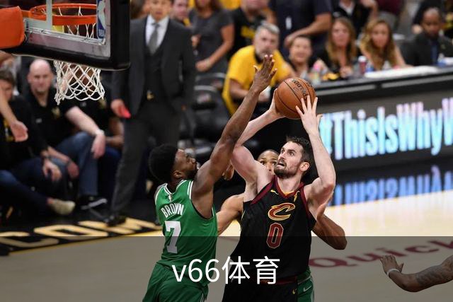 v66体育公司简介